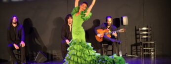 Privado: [ID: n7463PcICrM] Youtube Automatic