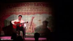 Privado: [ID: orblad28Fis] Youtube Automatic