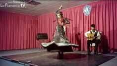 Privado: [ID: PQeDzIlit7E] Youtube Automatic