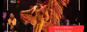 Privado: [ID: Q8ooEID-Q3U] Youtube Automatic