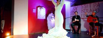 Privado: [ID: Zt8rby3bL8Q] Youtube Automatic