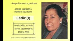 Privado: [ID: 02Gp5YQV0s0] Youtube Automatic