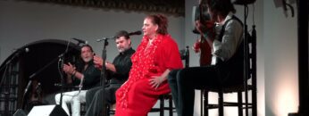 Privado: [ID: 28vKshZ96fk] Youtube Automatic