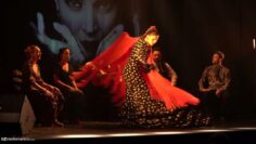 Privado: [ID: 6E6XAl73afE] Youtube Automatic