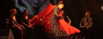 Privado: [ID: 6E6XAl73afE] Youtube Automatic