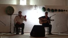 Privado: [ID: 7USYfJKO_VE] Youtube Automatic