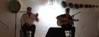 Privado: [ID: 7USYfJKO_VE] Youtube Automatic