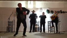 Privado: [ID: A8YMt-lzhAA] Youtube Automatic