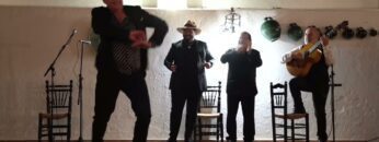 Privado: [ID: A8YMt-lzhAA] Youtube Automatic