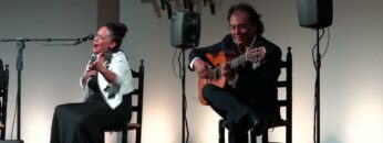 Privado: [ID: aJ0Jpx6lo_I] Youtube Automatic