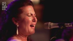 Privado: [ID: kog3qjv3SiM] Youtube Automatic