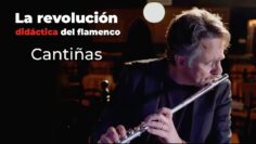 Privado: [ID: lBJuyfnW5j8] Youtube Automatic