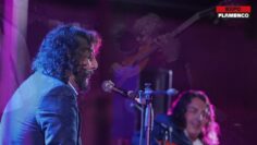 Privado: [ID: lr3G6LTjfFs] Youtube Automatic