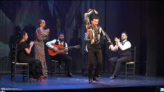 Privado: [ID: sDBOw79XNFw] Youtube Automatic