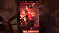 Privado: [ID: tfClO7ciKRo] Youtube Automatic