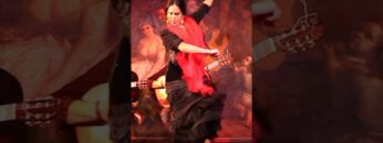 Privado: [ID: tfClO7ciKRo] Youtube Automatic