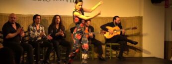 Privado: [ID: TGmdfWFeJl4] Youtube Automatic