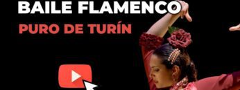 Privado: [ID: uAx3rAZQsNI] Youtube Automatic