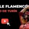 💃 Concurso de Baile Flamenco Puro de Turín