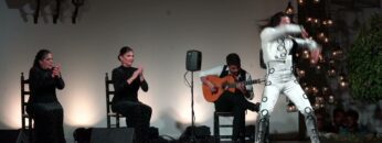 Privado: [ID: yFusfGunbJc] Youtube Automatic