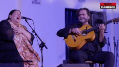 Privado: [ID: z7geDhvQvCo] Youtube Automatic