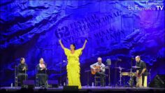 Privado: [ID: 3VF6l9u7Egw] Youtube Automatic