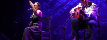 Privado: [ID: DNx074tKIws] Youtube Automatic