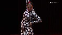 Privado: [ID: goWw3R-IkS4] Youtube Automatic