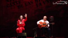 Privado: [ID: hO2CGjvbDXs] Youtube Automatic