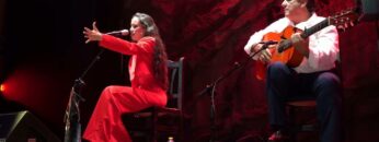 Privado: [ID: IrtTZWlWtFk] Youtube Automatic