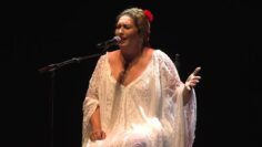 Privado: [ID: K9LFvKqHuGY] Youtube Automatic