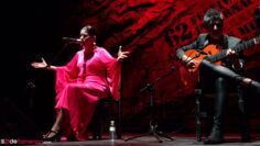 Privado: [ID: KSbO5L6ZC7E] Youtube Automatic