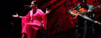 Privado: [ID: KSbO5L6ZC7E] Youtube Automatic