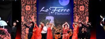 Privado: [ID: Ohu1Wqtud6s] Youtube Automatic