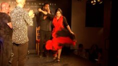 Privado: [ID: P0iVuroC1vs] Youtube Automatic