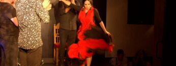 Privado: [ID: P0iVuroC1vs] Youtube Automatic