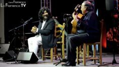 Privado: [ID: qzKD37Ctq0o] Youtube Automatic