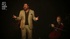 Privado: [ID: QZSkQyzfm5U] Youtube Automatic