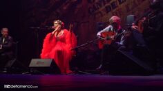 Privado: [ID: SmuN7NpryXo] Youtube Automatic