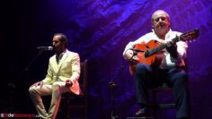 Privado: [ID: T9i0D77fA8E] Youtube Automatic