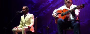 Privado: [ID: T9i0D77fA8E] Youtube Automatic