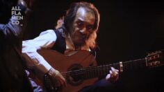 Privado: [ID: VN8ybB37gH4] Youtube Automatic