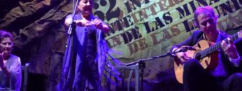 Privado: [ID: -ZfH0b48Pk8] Youtube Automatic