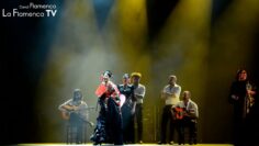 Privado: [ID: 512-1OLPdI8] Youtube Automatic