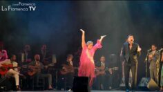 Privado: [ID: aSlbyGBsAb8] Youtube Automatic