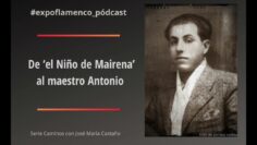 Privado: [ID: cTF4ITUHOTY] Youtube Automatic