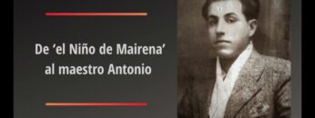 Privado: [ID: cTF4ITUHOTY] Youtube Automatic