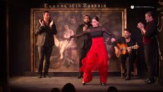 Privado: [ID: DwQ77qMjig0] Youtube Automatic