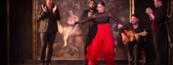 Privado: [ID: DwQ77qMjig0] Youtube Automatic