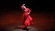 Privado: [ID: gcr9bwazILE] Youtube Automatic